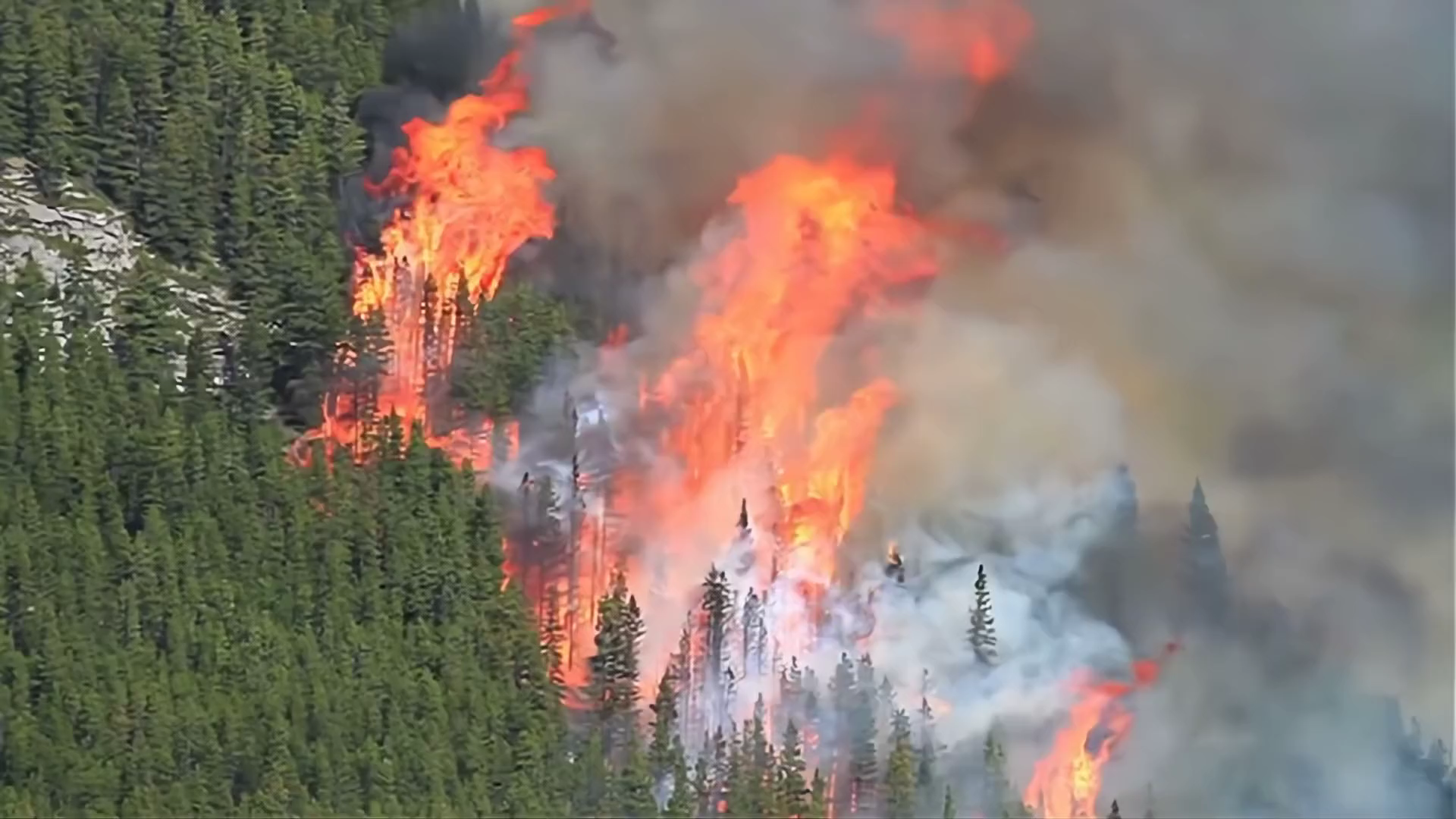 Wildfire from the air