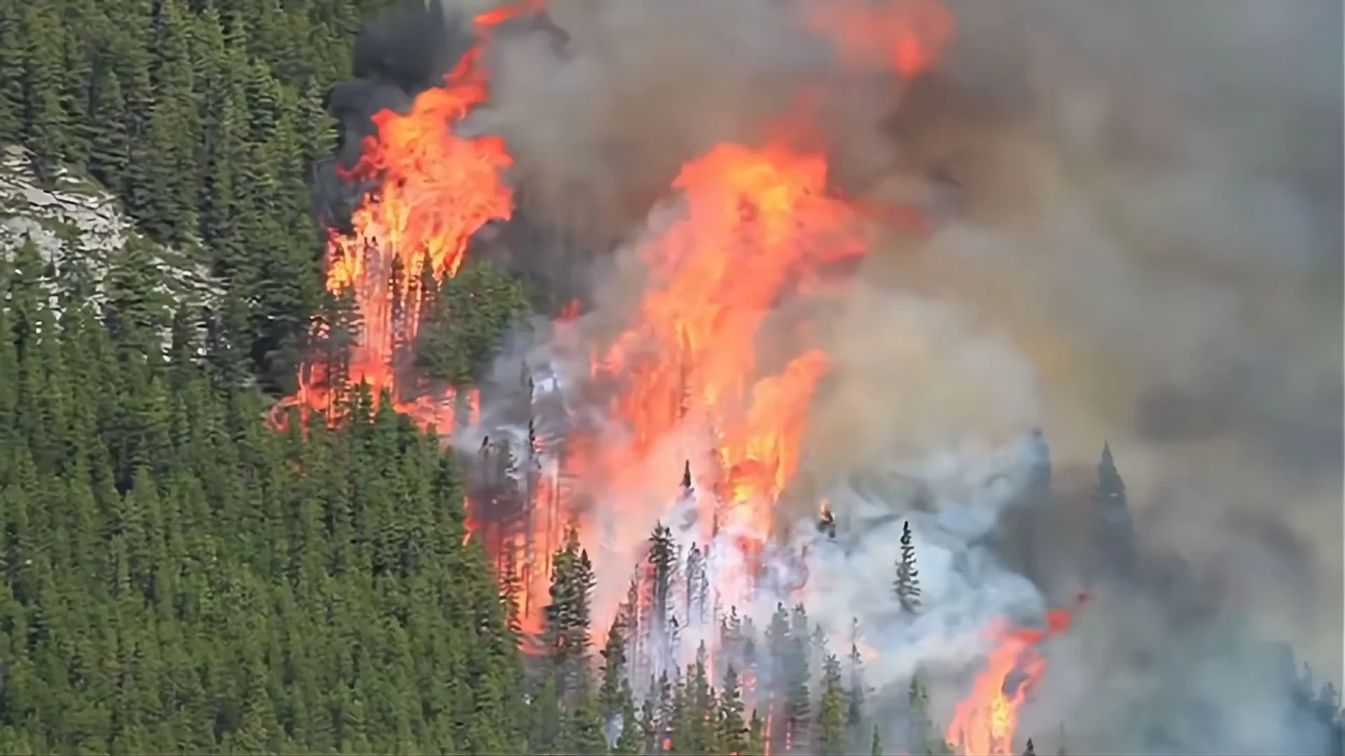 Wildfire from the air